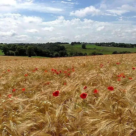 Отель Le Bois Gautier Savigny-le-Vieux